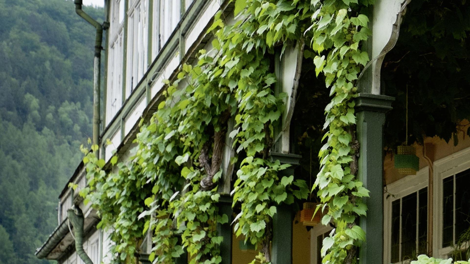 Haus Bräutigam